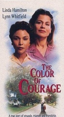 Poster of The Color of Courage