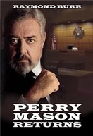 Poster of Perry Mason Returns