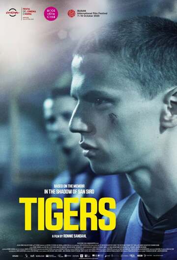 Poster of Tigers