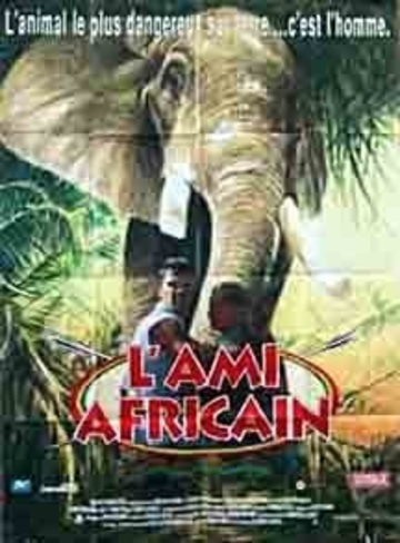 Poster of Lost in Africa