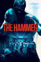 Poster of The Hammer