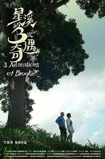 Poster of Three Adventures of Brooke