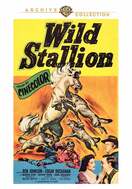 Poster of Wild Stallion