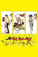 Poster of After the Fox