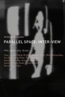 Poster of Parallel Space: Inter-View