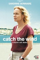 Poster of Catch the Wind