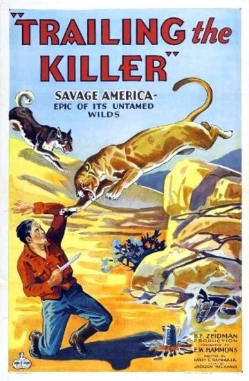 Poster of Trailing the Killer