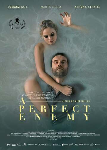 Poster of A Perfect Enemy