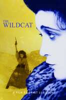 Poster of The Wildcat