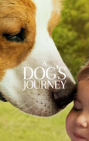 Poster of A Dog's Journey