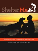 Poster of Shelter Me