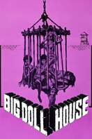 Poster of The Big Doll House
