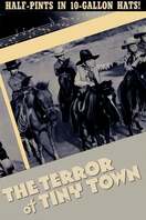 Poster of The Terror of Tiny Town