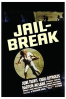 Poster of Jailbreak