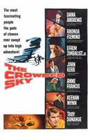 Poster of The Crowded Sky