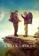 Poster of A Walk in the Woods