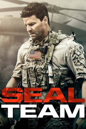 Poster of SEAL Team