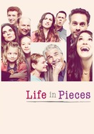 Poster of Life in Pieces