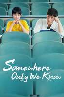 Poster of Somewhere Only We Know