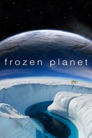 Poster of Frozen Planet