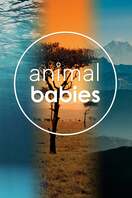Poster of Animal Babies