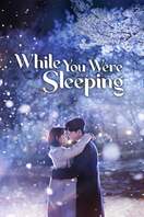 Poster of While You Were Sleeping
