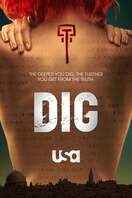 Poster of DIG