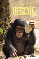 Poster of Baby Chimp Rescue