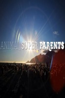 Poster of Animal Super Parents