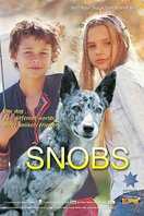 Poster of Snobs