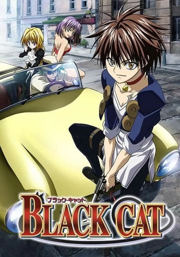 Poster of Black Cat