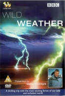 Poster of Wild Weather