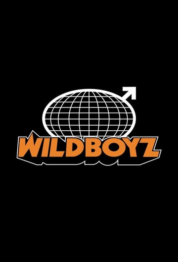 Poster of Wildboyz