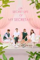 Poster of The Secret Life of My Secretary