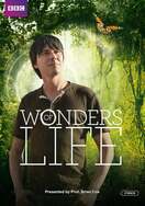 Poster of Wonders of Life