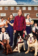 Poster of The Dog Rescuers