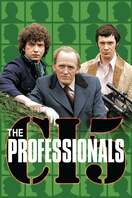 Poster of The Professionals