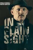 Poster of In Plain Sight