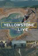 Poster of Yellowstone Live
