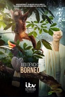 Poster of Judi Dench's Wild Borneo Adventure