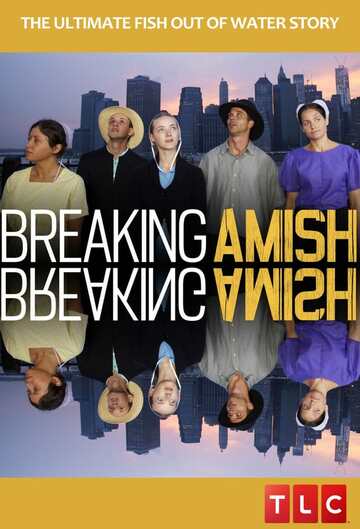 Poster of Breaking Amish