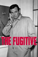 Poster of The Fugitive