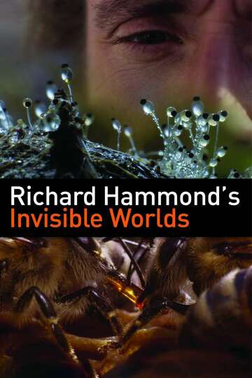 Poster of Richard Hammond's Invisible Worlds