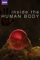Poster of Inside the Human Body