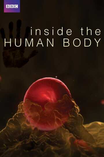 Poster of Inside the Human Body