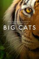 Poster of Big Cats