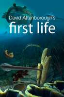Poster of First Life