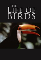Poster of The Life of Birds