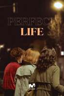 Poster of Perfect Life