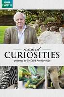 Poster of David Attenborough's Natural Curiosities
